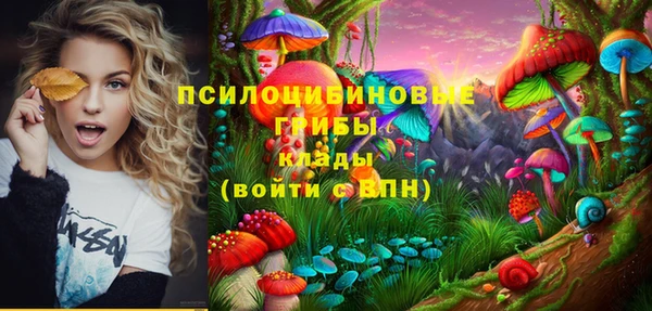 спайс Михайловск