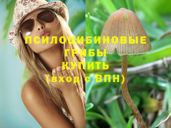 индика Михайлов