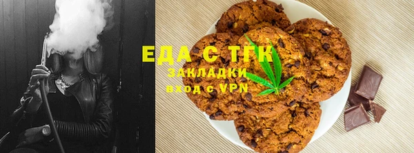 индика Михайлов