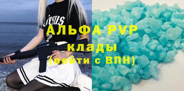 индика Михайлов