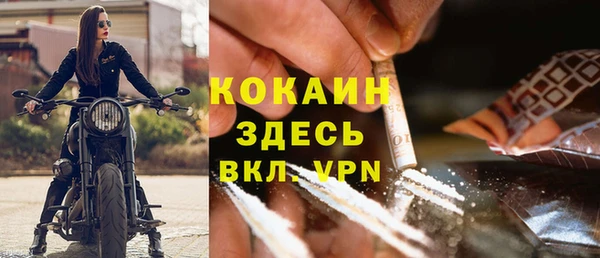 индика Михайлов